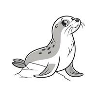 Graceful Harp Seal on White Background vector