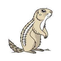 Delightful Ground Squirrel on White Surface vector