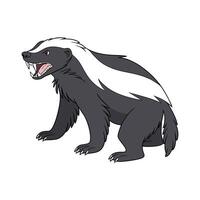 Intriguing Honey Badger Displayed on White Canvas vector