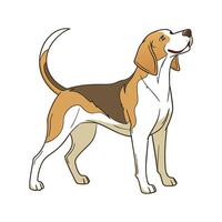 Charming Hound Dog on White Background vector