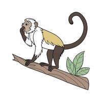 Curious Howler Monkey on White Background vector