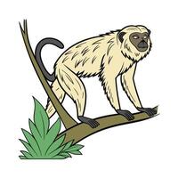 Dynamic Howler Monkey Displayed on Clean Background vector