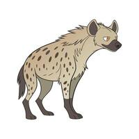 Charming Hyena on White Surface vector