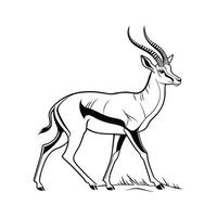 Charming Impala on Clean White Canvas vector