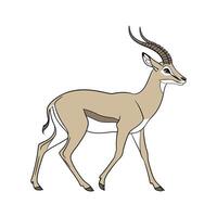Dynamic Impala on White Background vector