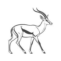 Majestic Impala Displayed Against White Background vector