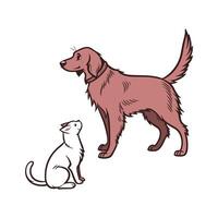 Irish Setter with Manx Cat on White Background vector