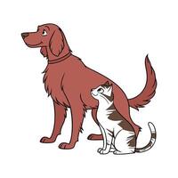 Lovely Irish Setter with Manx Cat on White Surface vector