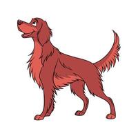 Adorable Irish Setter Posed on Clean Background vector