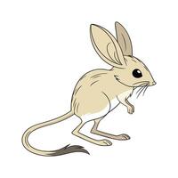 Dynamic Jerboa Displayed on Clean Background vector