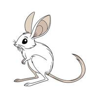 Lively Jerboa on White Background vector