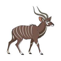 Elegant Kudu on White Background vector