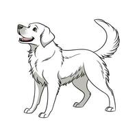Dynamic Labrador Retriever on White Surface vector