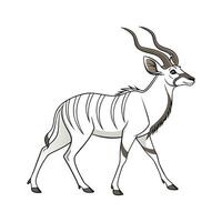 Lesser Kudu Unique Pose vector
