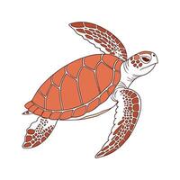 Loggerhead Turtle in Natural Habitat vector
