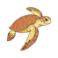 Charming Loggerhead Turtle vector