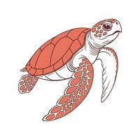 Loggerhead Turtle Illustration vector