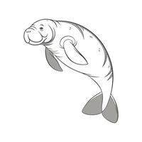 Manatee Close Up vector