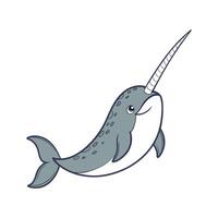 Narwhal on White Background vector