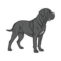 Charming Neapolitan Mastiff vector