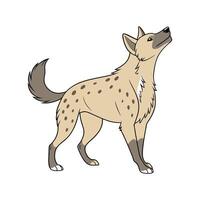 New Guinea Singing Dog on White vector