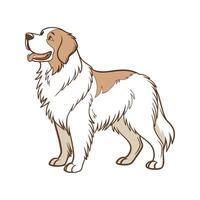 Newfoundland Dog in Playful Pose vector