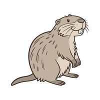 Nutria Cute Pose vector