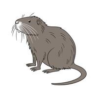 Charming Nutria on White vector