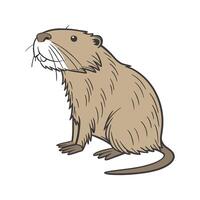 Nutria Illustration on White vector