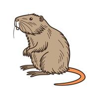 Nutria CloseUp Illustration vector