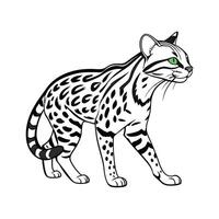 Ocelot Wild Cat Illustration vector