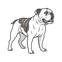 Olde English Bulldog in Playful Pose vector