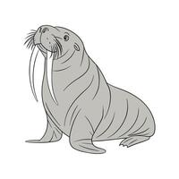 Charming Pacific Walrus vector