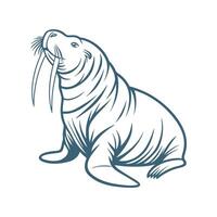 Pacific Walrus on White Background vector