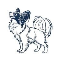 Papillon Dog on White Background vector