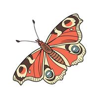 Papillon in Playful Pose vector