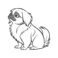 Pekingese CloseUp Illustration vector