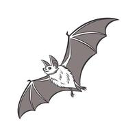 Pipistrelle Bat in Flight vector