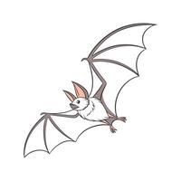 Pipistrelle Bat CloseUp vector