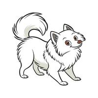 Pomeranian Dog on White Background vector