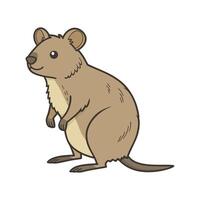 Quokka in Playful Pose vector