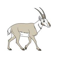 Saiga Antelope on White Background vector