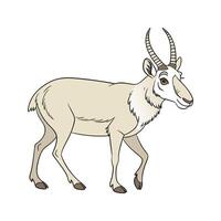 Charming Saiga Antelope vector
