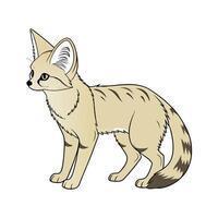 Sand Cat on White Background vector