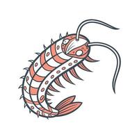 Sea Cucumber CloseUp vector