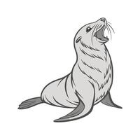 Sea Lion on White Background vector