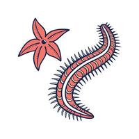 Charming Sea Cucumber vector