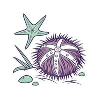 Charming Sea Urchin vector