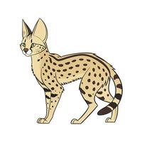 Serval Cat on White Background vector