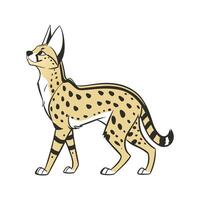 Serval Cat CloseUp vector